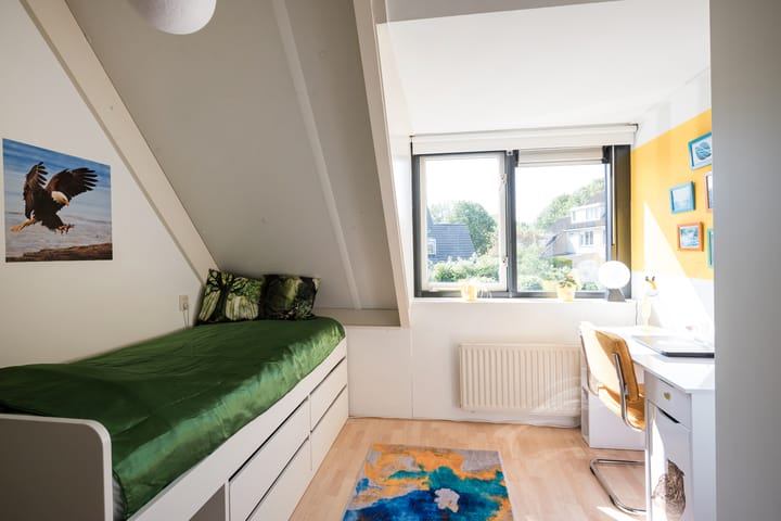 Foto 29 van Paltrokmolen 126