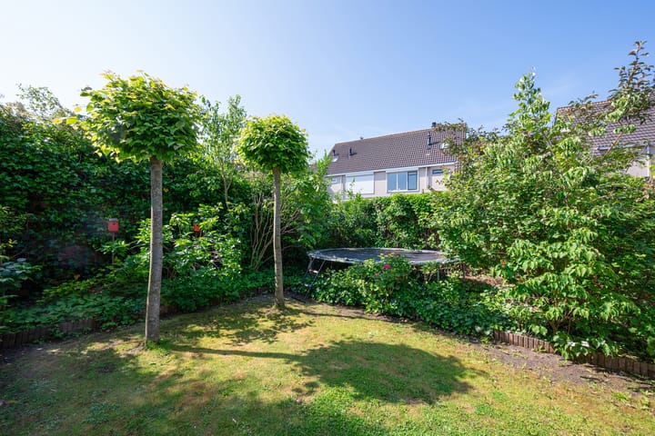 Foto 23 van Paltrokmolen 126