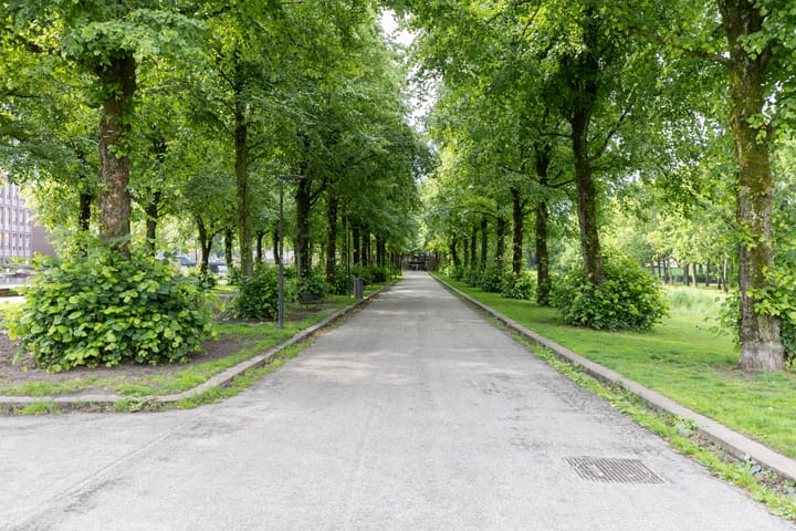 Foto 25 van Egidiusstraat 13-H