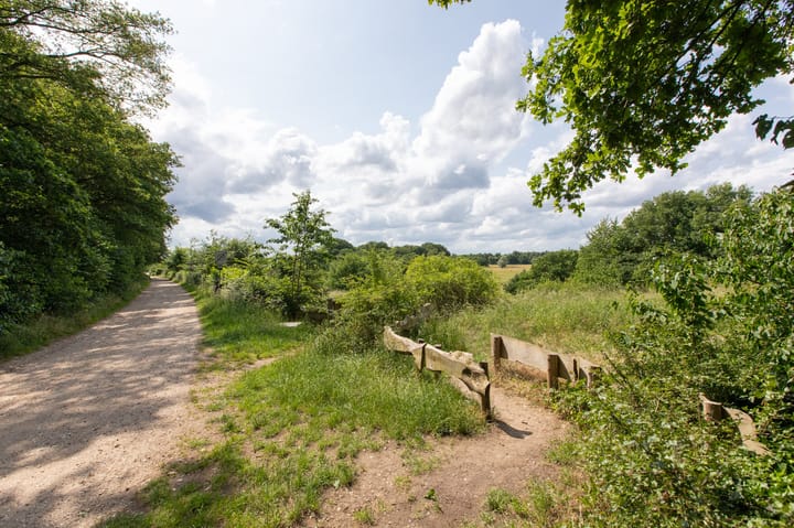 Photo 45 of Ringbaan 76