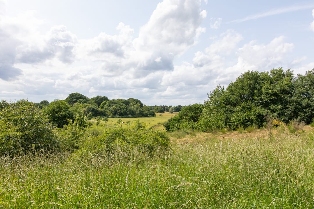 Foto 46 van Ringbaan 76