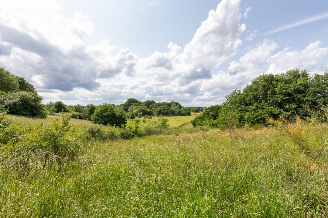 Foto 47 van Ringbaan 76