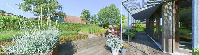 Achtertuin met terras