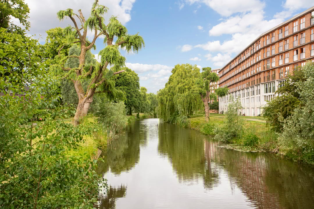 Foto 37 van Prinses Ireneplateau 76