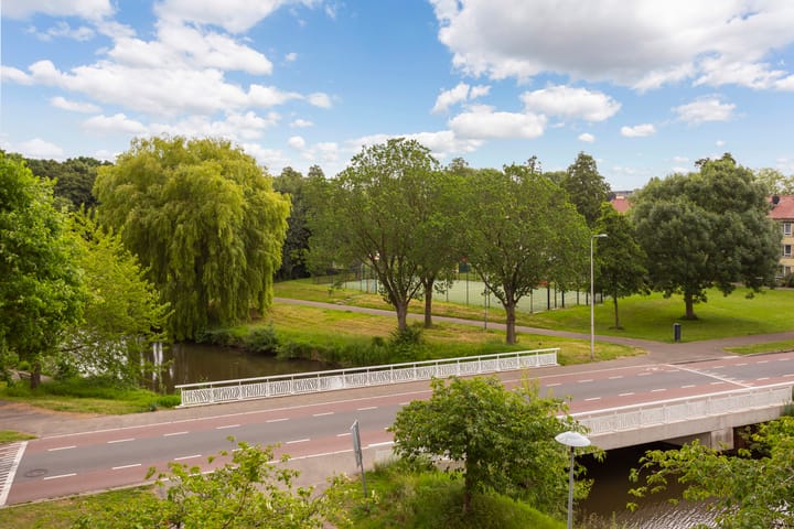 Foto 38 van Prinses Ireneplateau 76