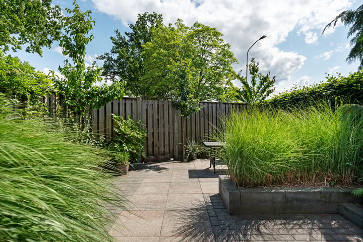 Foto 31 van Haselackers 41