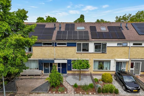 undefined main image