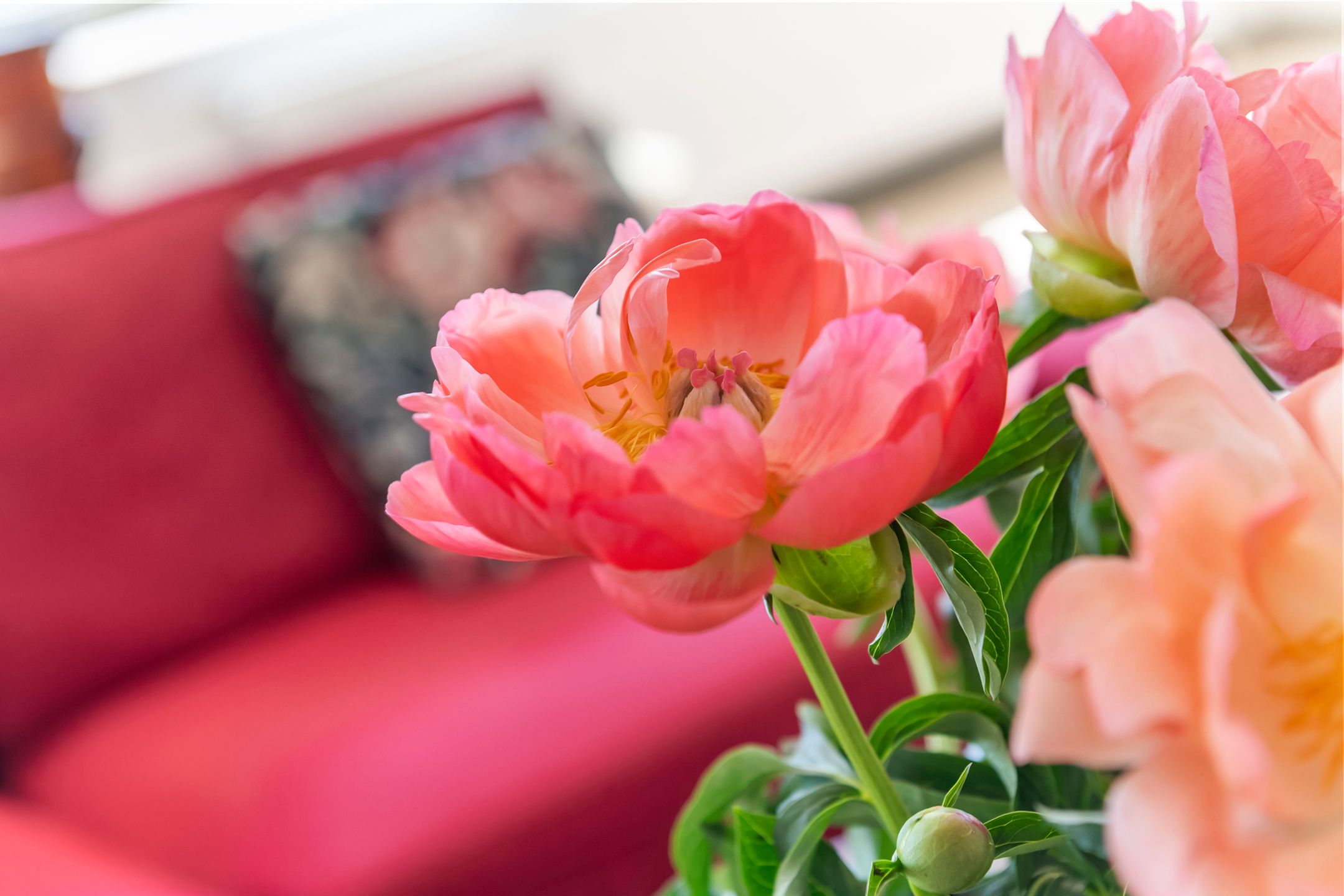 Foto 9 van Hazenleger 41