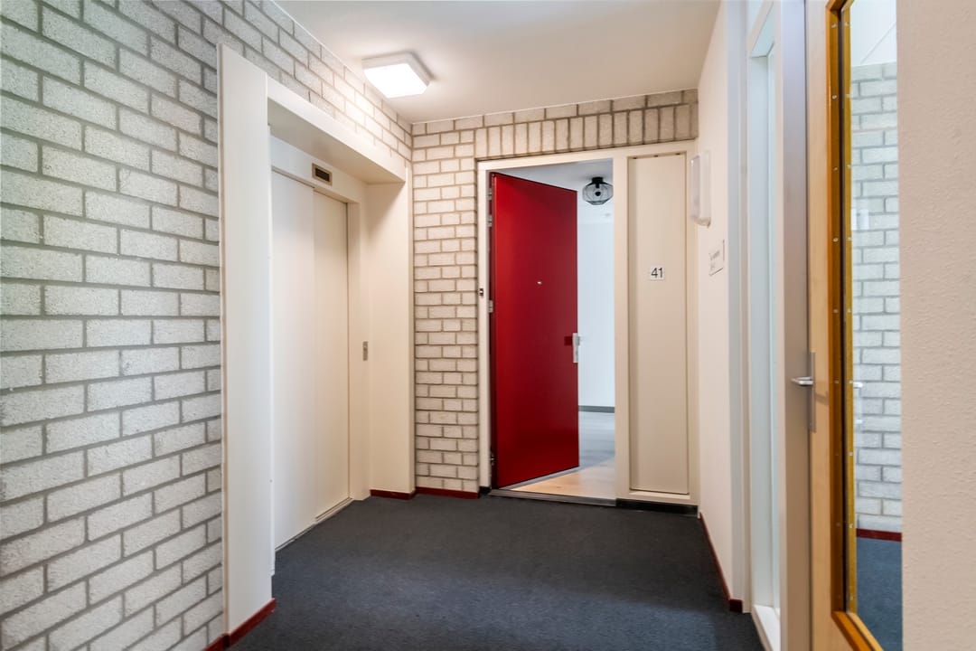 Foto 31 van Hazenleger 41