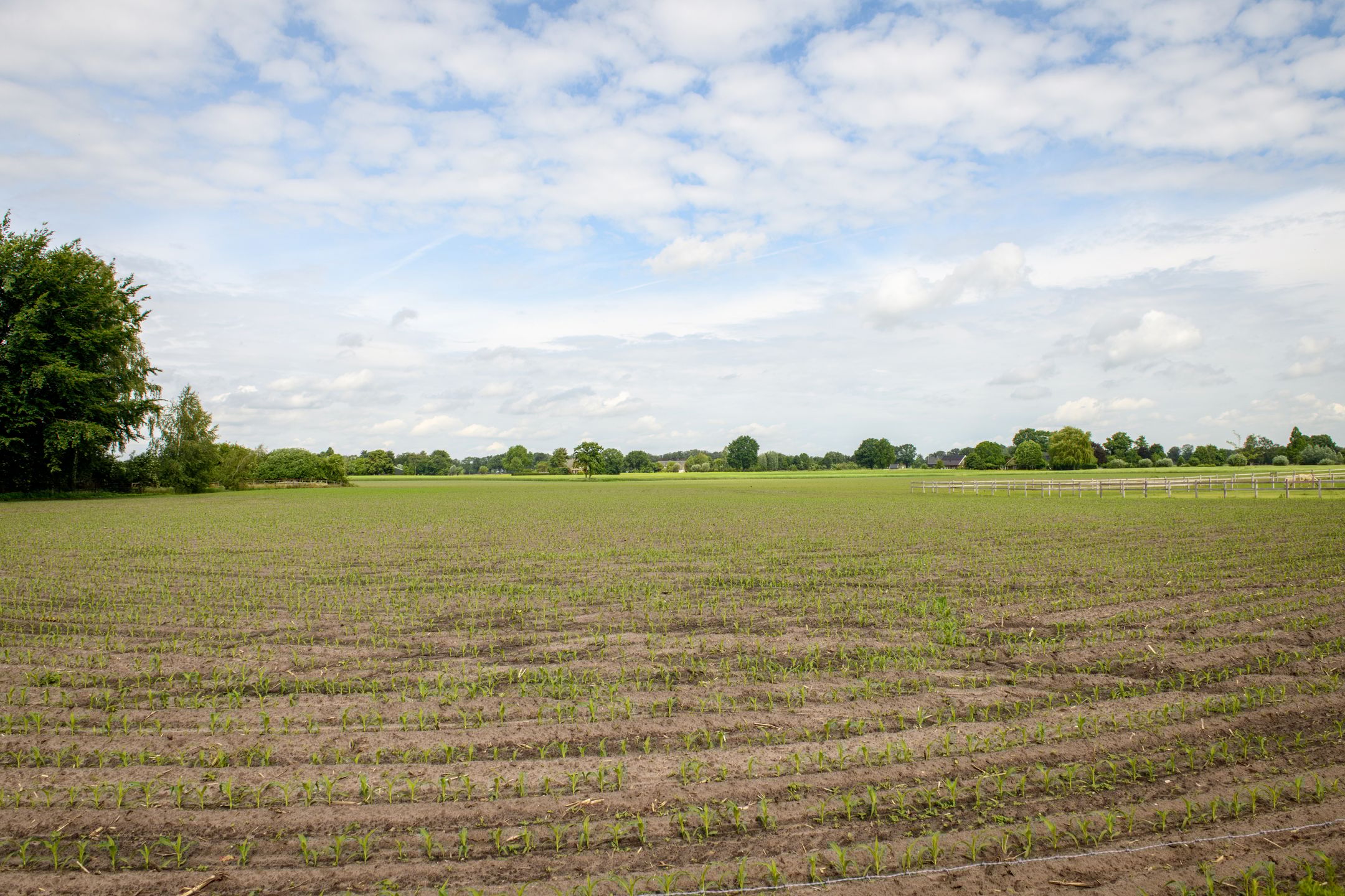 Photo 39 of Doetinchemseweg 98