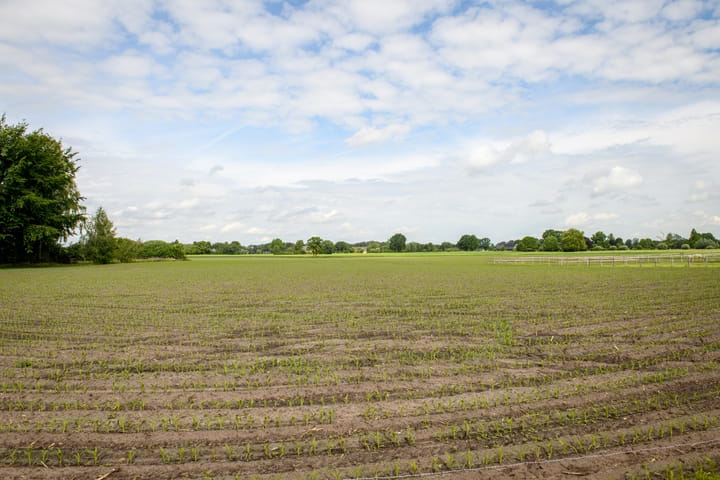 Foto 39 van Doetinchemseweg 98