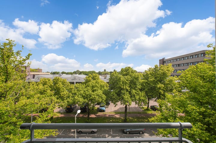 Foto 26 van Charlotte de Bourbonstraat 1-3