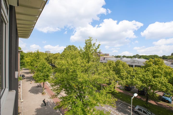 Foto 27 van Charlotte de Bourbonstraat 1-3