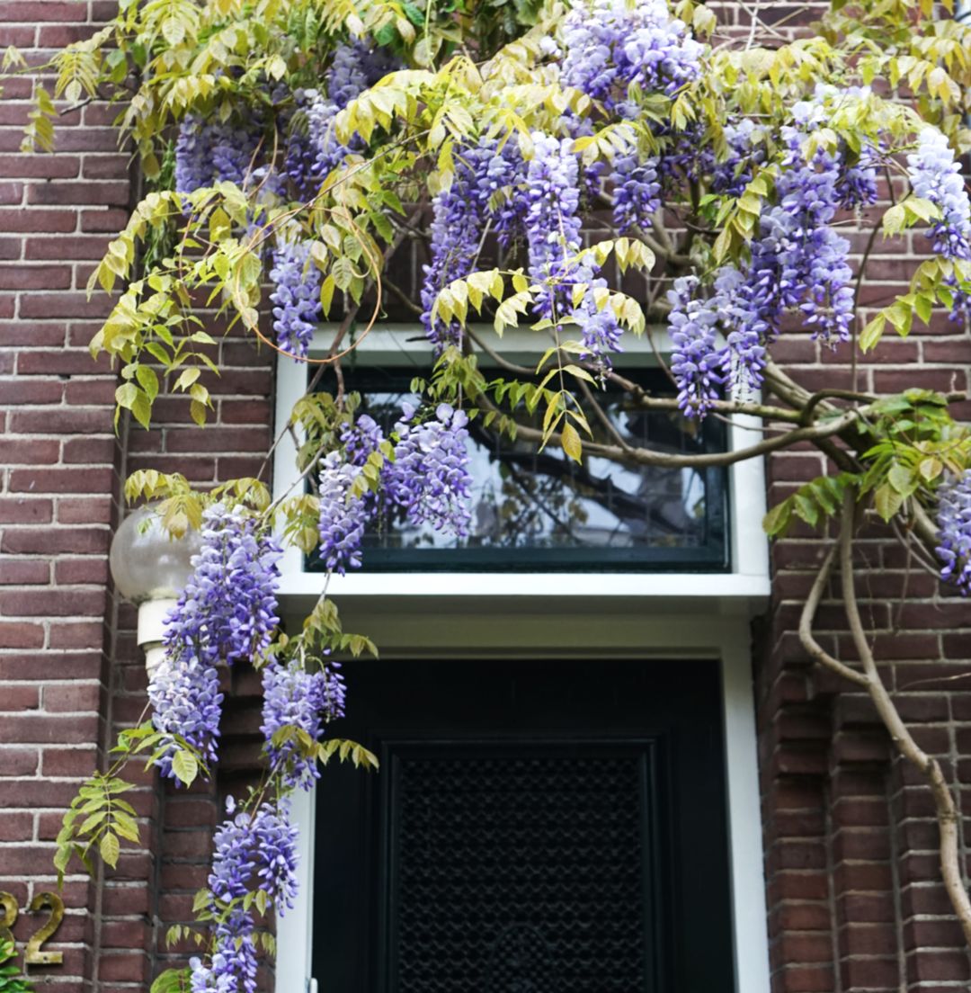 Foto 7 van Botenmakersstraat 82