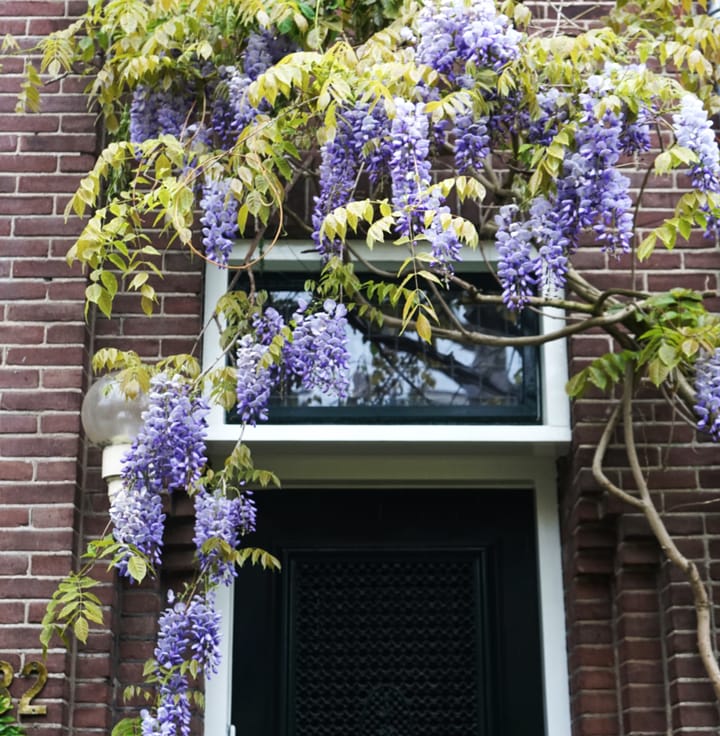 Foto 7 van Botenmakersstraat 82