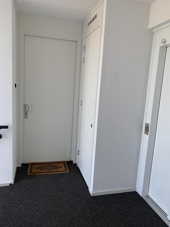 Foto 15 van P.C. Borstlaan 94