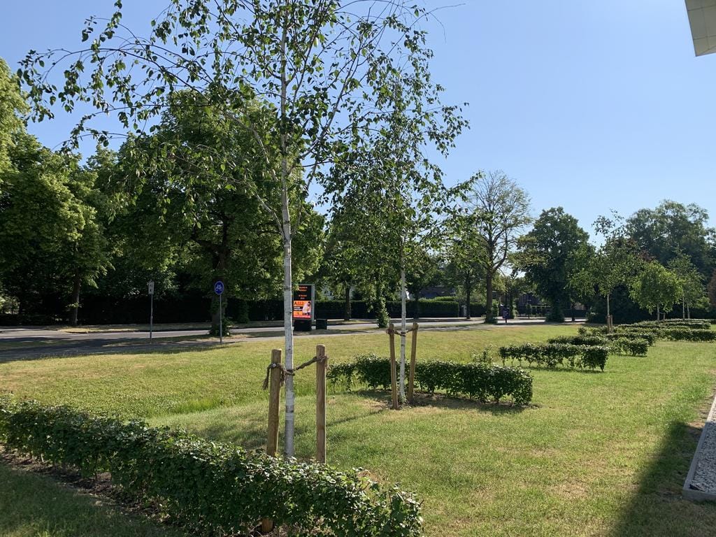 Foto 16 van P.C. Borstlaan 94