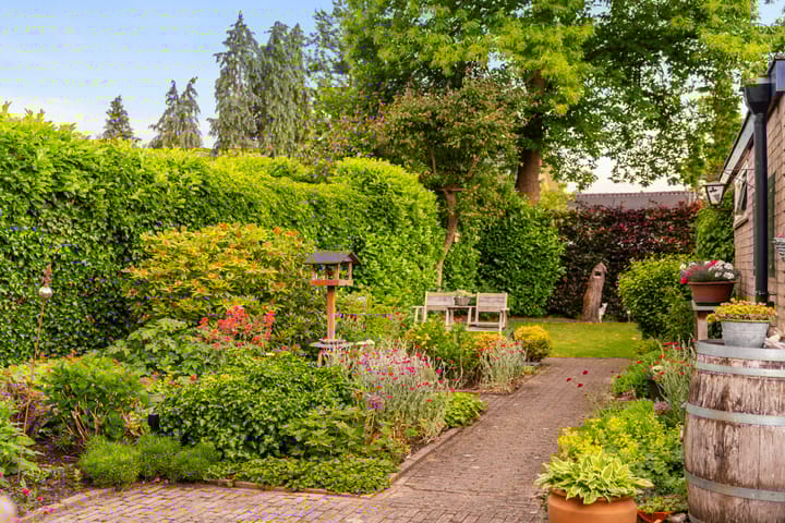 Foto 5 van Boerhaavelaan 124