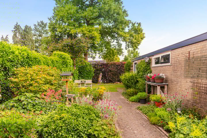 Foto 27 van Boerhaavelaan 124