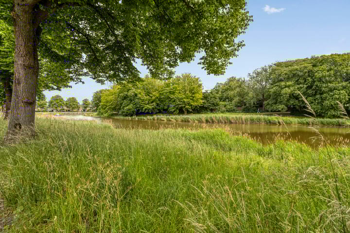 Foto 32 van Noordsingel 58