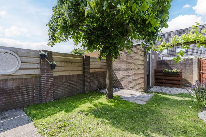 Foto 38 van Merel 63