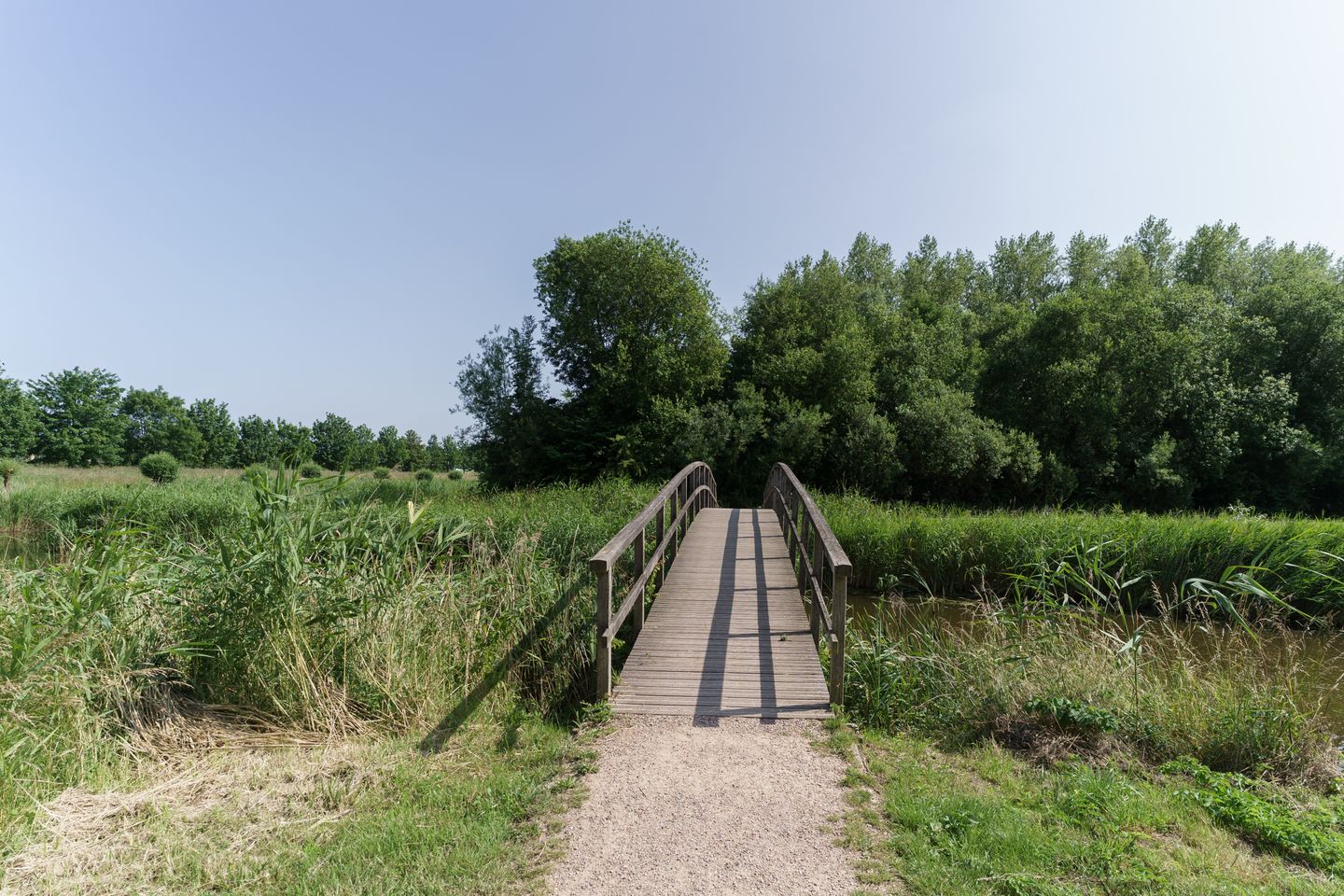 Foto 25 van Arendlaan 58