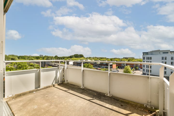 Foto 10 van Gotland 40