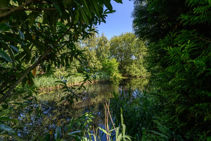 Foto 49 van Lindenlaan 18