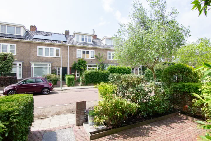 Foto 41 van Terheidenstraat 16