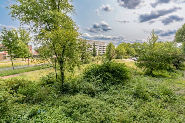 Foto 23 van Waddenstraat 523