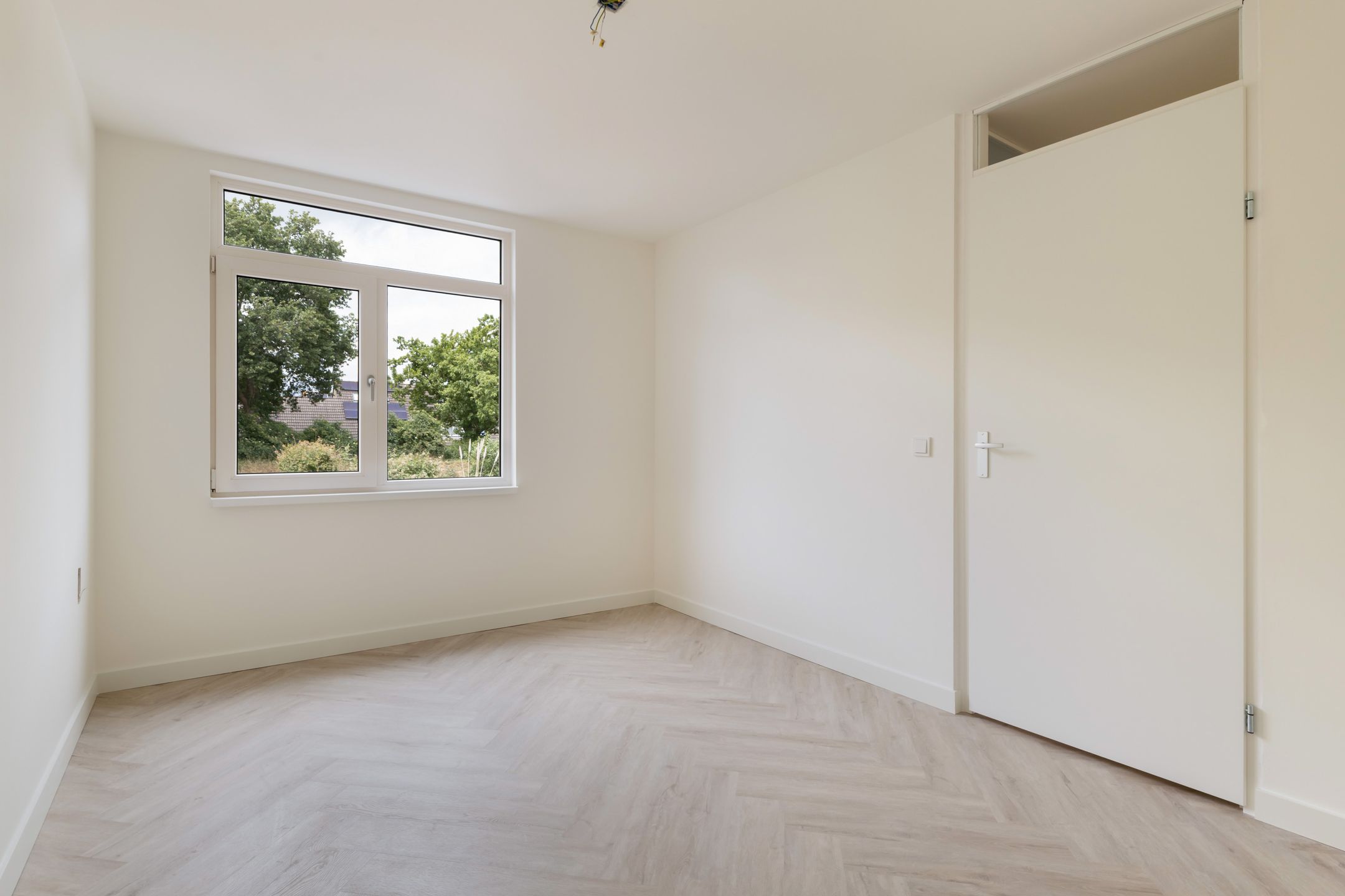 Foto 33 van Zebraspoor 151