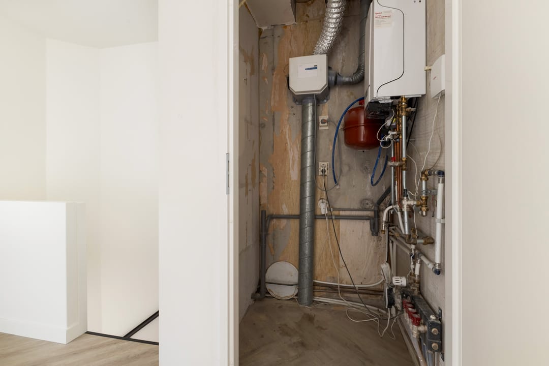 Foto 41 van Zebraspoor 151