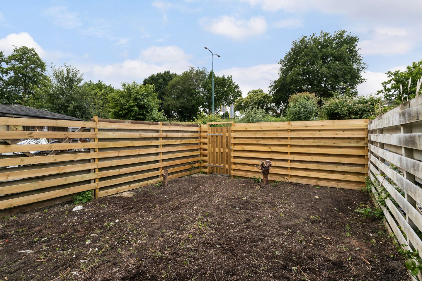 Foto 44 van Zebraspoor 151