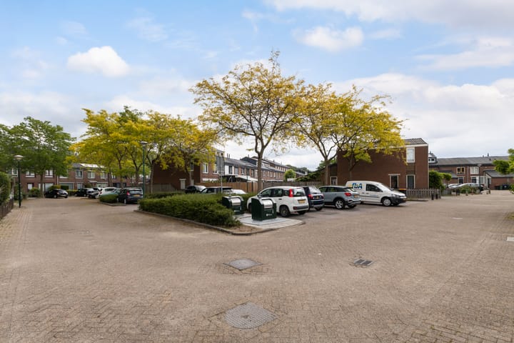 Foto 50 van Zebraspoor 151