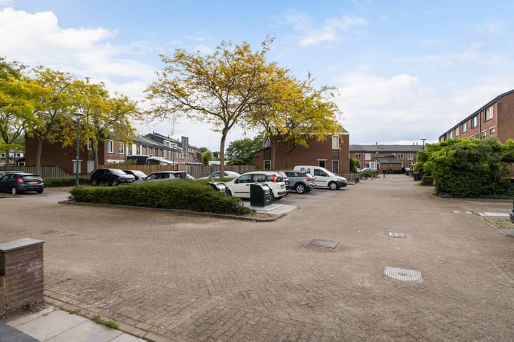 Foto 51 van Zebraspoor 151