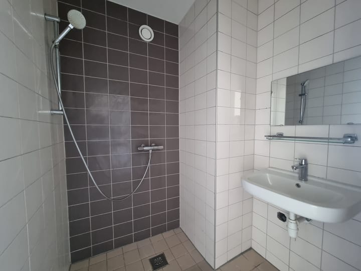 Foto 4 van Briljantstraat 210