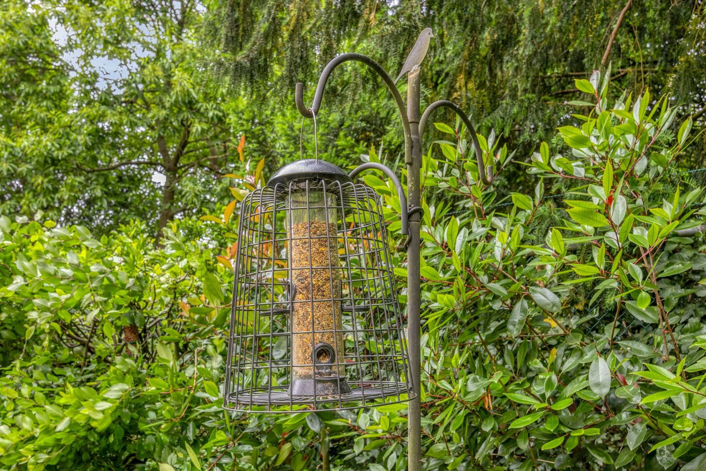 Foto 40 van Pater Leijdekkersstraat 80