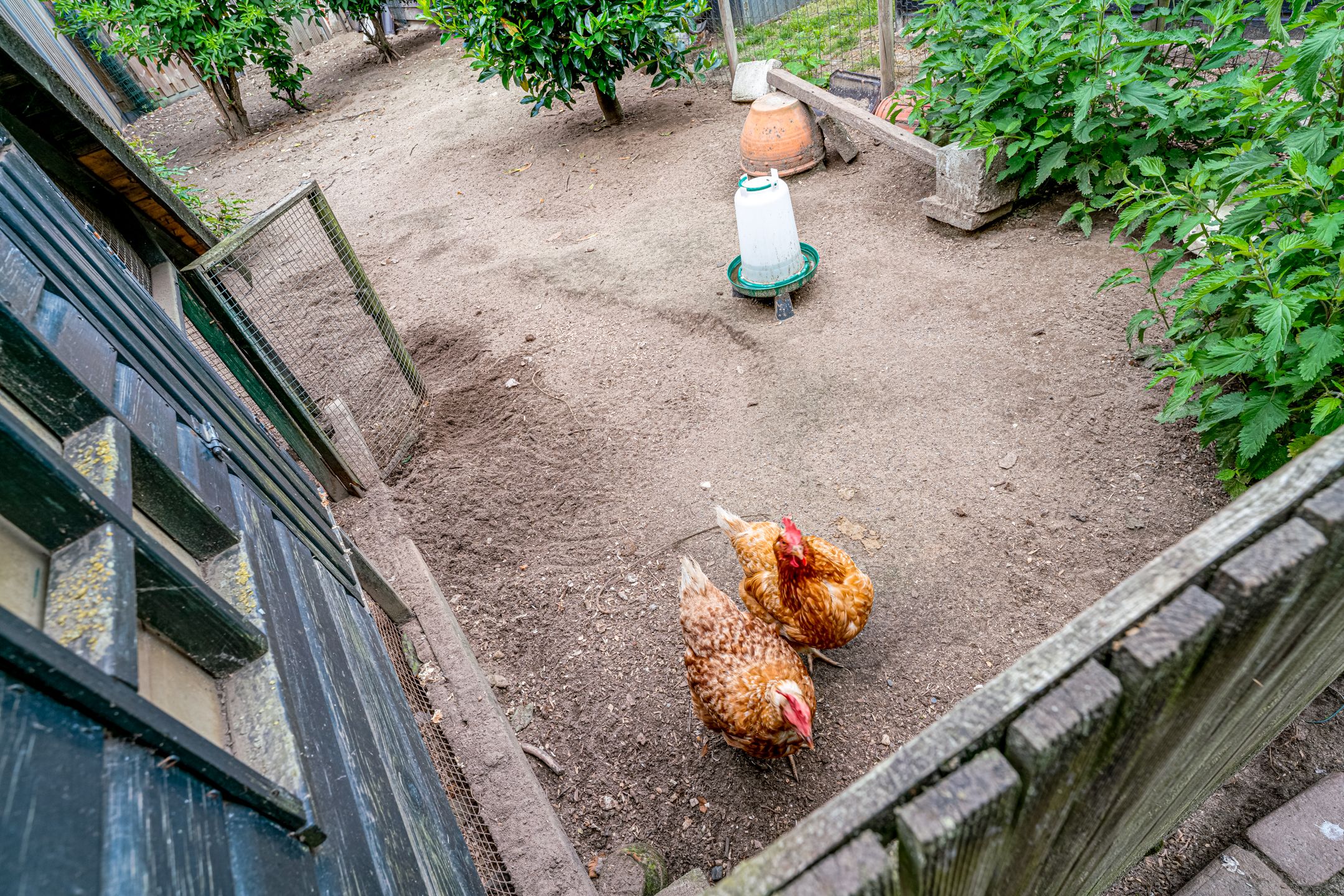 Foto 51 van Woeziksestraat 338-A