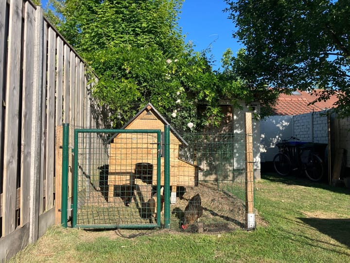 Foto 10 van Dufaystraat 11