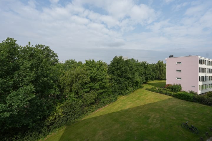 Foto 5 van Jan Willem Passtraat 75