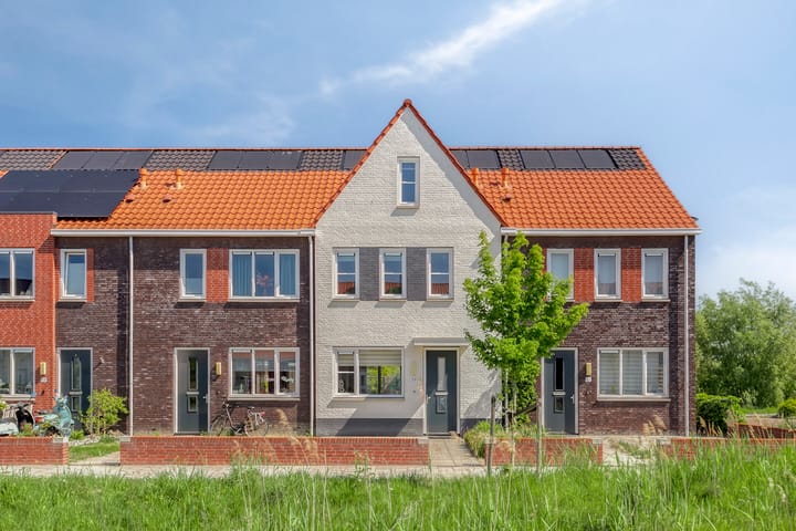 undefined main image