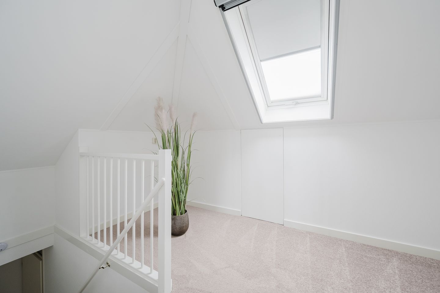 Foto 40 van Zuster Reichertstraat 15