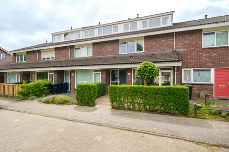 Max Ernststraat thumbnail