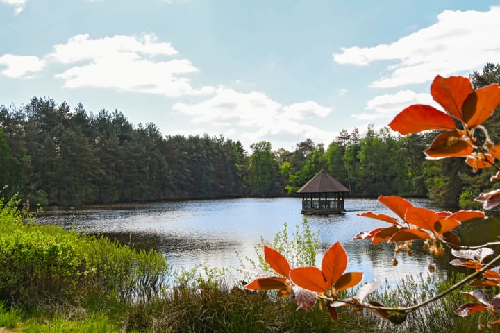 Photo 55 of Heugterzijweg 1