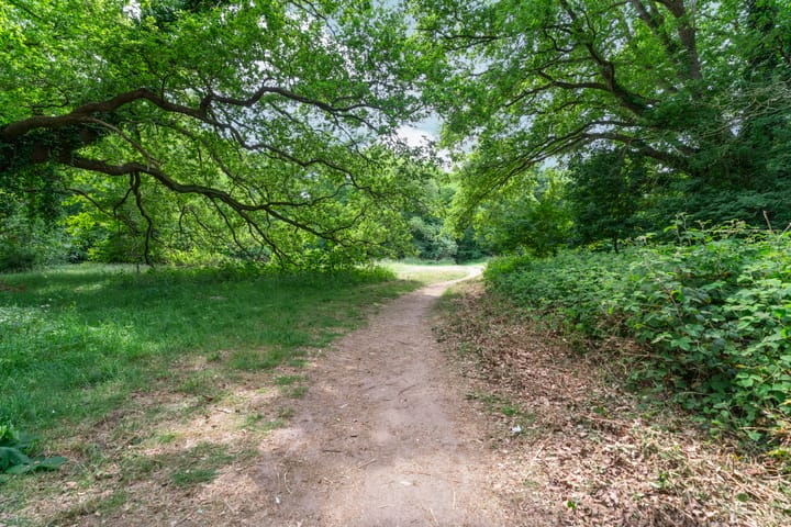 Photo 82 of Heyendaalseweg 338