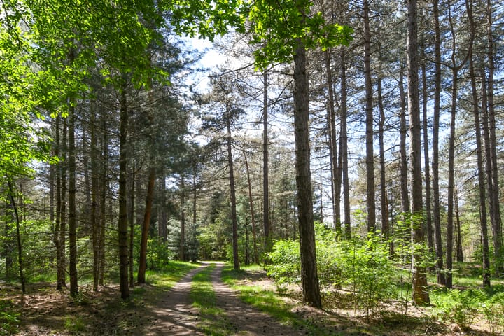 Photo 73 of Heugterzijweg 1