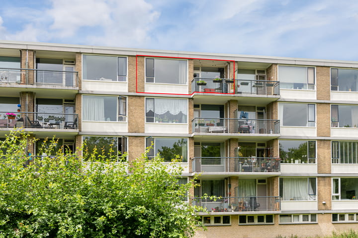 Foto 19 van Livingstonelaan 718