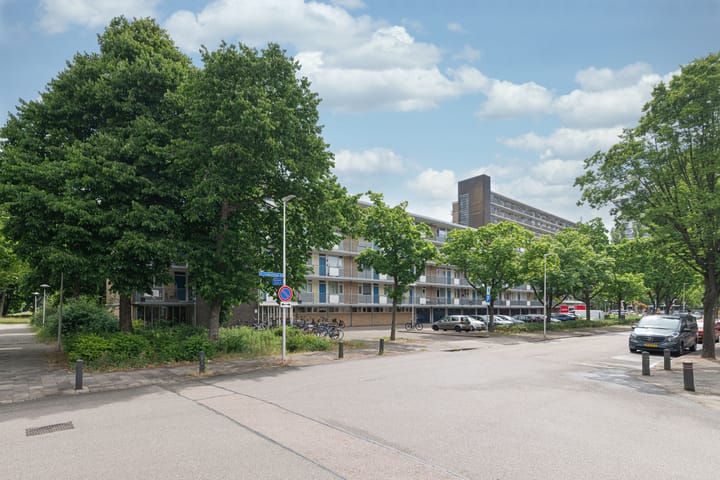 Foto 20 van Livingstonelaan 718