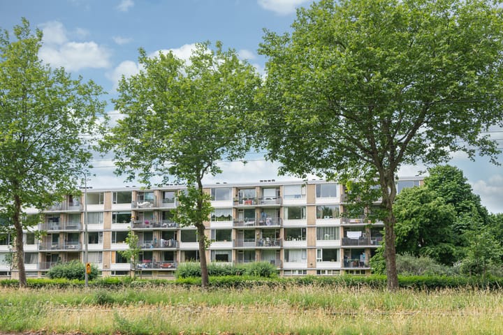 Foto 21 van Livingstonelaan 718