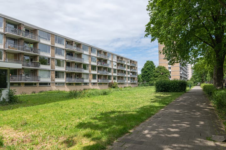 Foto 23 van Livingstonelaan 718